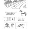 Учебник по Арифметике Для Начальной Школы